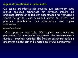 Cupins de montículos e arborícolas
Os cupins arborícolas são aqueles que constroem seus
ninhos apoiados sobretudo em árvores. Porém, no
ambiente domiciliar podem ser encontrados nos telhados e
forros de gesso. Seus caminhos podem ser vistos nas
paredes semelhantes aos observados nos cupins
subterrâneos.
gênero Nasutitermes
Os cupins de montículo. São cupins que atacam as
pastagens. Os montículos de terras são extremamente
duros e tamanhos variados. Em área de pastagens pode-se
encontrar ninhos com até 1 metro de altura. Conitermes
 