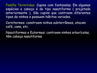 Família Termitidae: Cupins com fontanelas. Em algumas
espécies a cabeça é do tipo nasutiforme ( projetada
anteriormente ). São cupins que controem diferentes
tipos de ninhos e possuem hábitos variados.
Cornitermes: constroem ninhos subterrâneos, atacam
café, cana, etc.
Nasutiformes e Eutermes: controem ninhos arborícolas,
têm cabeça nasutiforme
 