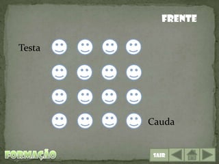 Frente

Testa




        Cauda


         Sair
 