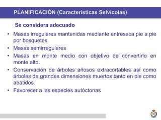 PLANIFICACIÓN (Características Selvícolas)
• Masas irregulares mantenidas mediante entresaca pie a pie
por bosquetes.
• Masas semirregulares
• Masas en monte medio con objetivo de convertirlo en
monte alto.
• Conservación de árboles añosos extracortables así como
árboles de grandes dimensiones muertos tanto en pie como
abatidos.
• Favorecer a las especies autóctonas
Se considera adecuado
 