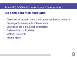 PLANIFICACIÓN (Características Dasocráticas)
• Disminuir el tamaño de las unidades selvícolas de corta
• Prolongar los plazos de intervención
• Entresaca pie a pie o por bosquetes
• Ordenación por Rodales
• Método Selvícola
• Tramo móvil
Se considera más adecuado
 