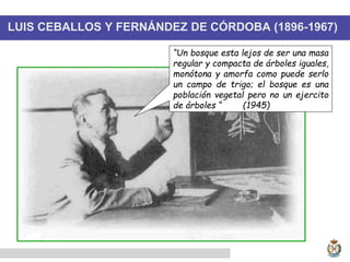LUIS CEBALLOS Y FERNÁNDEZ DE CÓRDOBA (1896-1967)
“Un bosque esta lejos de ser una masa
regular y compacta de árboles iguales,
monótona y amorfa como puede serlo
un campo de trigo; el bosque es una
población vegetal pero no un ejercito
de árboles “ (1945)
 