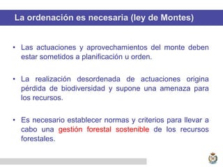 La ordenación es necesaria (ley de Montes)
• Las actuaciones y aprovechamientos del monte deben
estar sometidos a planificación u orden.
• La realización desordenada de actuaciones origina
pérdida de biodiversidad y supone una amenaza para
los recursos.
• Es necesario establecer normas y criterios para llevar a
cabo una gestión forestal sostenible de los recursos
forestales.
 