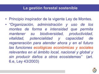 La gestión forestal sostenible
• Principio inspirador de la vigente Ley de Montes.
• “Organización, administración y uso de los
montes de forma e intensidad que permita
mantener su biodiversidad, productividad,
vitalidad, potencialidad y capacidad de
regeneración para atender ahora y en el futuro
las funciones ecológicas económicas y sociales
relevantes en el ámbito local, nacional y global y
sin producir daños a otros ecosistemas” (art.
6.e, Ley 43/2003)
 
