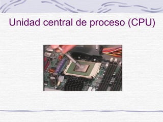 Unidad central de proceso (CPU)
 
