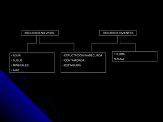 RECURSOS NO VIVOS  RECURSOS VIVIENTES AGUA SUELO  MINERALES  AIRE EXPLOTACIÓN INADECUADA CONTAMIDADA EXTINGUIDA  FLORA  FAUNA 