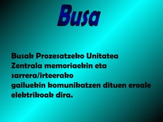Busa Busak Prozesatzeko Unitatea  Zentrala memoriaekin eta sarrera/irteerako  gailuekin komunikatzen dituen eroale elektrikoak dira.   