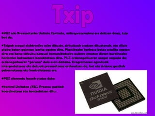 PUZ   edo   Prozesatzeko Unitate Zentrala , mikroprozesadore  ere deitzen dena,  txip  bat da. Txipek osagai elektroniko asko dituzte, zirkuituak osatzen dituztenak, eta silizio plaka baten gainean jarrita egoten dira. Plastikozko karkasa batez estalita egoten dira eta beste zirkuitu batzuei komunikatzeko aukera ematen dieten burdinazko hankatxo batzuetara konektatzen dira.  PUZ  ordenagailuaren osagai nagusia da; ordenagailuaren “garuna” dela esan daiteke. Programaren aginduak interpretatzeaz eta datuak prozesatzeaz arduratzen da, bai eta sistema guztiak gobernatzeaz eta kontrolatzeaz ere. PUZ elementu hauek osatze dute: kontrol Unitatea  (KU) . Prozesu guztiak  koordinatzen eta kontrolatzen ditu.   Txip 