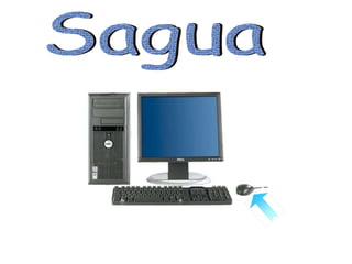 Sagua 