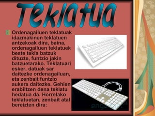 Ordenagailuen teklatuak idazmakinen teklatuen antzekoak dira, baina, ordenagailuen teklatuek beste tekla batzuk dituzte, funtzio jakin batzuetarako. Teklatuari esker, datuak sar daitezke ordenagailuan, eta zenbait funtzio aukera daitezke. Gehien erabiltzen dena teklatu hedatua da. Horrelako teklatuetan, zenbait atal bereizten dira:   Teklatua 