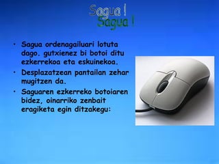 Sagua ordenagailuari lotuta dago. gutxienez bi botoi ditu ezkerrekoa eta eskuinekoa.  Desplazatzean pantailan zehar mugitzen da. Saguaren ezkerreko botoiaren bidez, oinarriko zenbait eragiketa egin ditzakegu: Sagua ! 