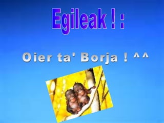 Egileak ! : Oier ta' Borja ! ^^ 