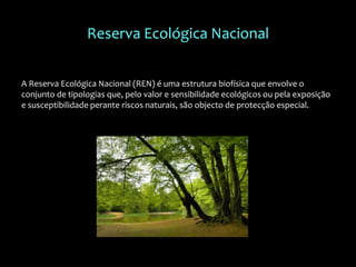 Reserva Ecológica Nacional
A Reserva Ecológica Nacional (REN) é uma estrutura biofísica que envolve o
conjunto de tipologias que, pelo valor e sensibilidade ecológicos ou pela exposição
e susceptibilidade perante riscos naturais, são objecto de protecção especial.
 