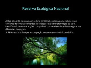 Reserva Ecológica Nacional
Aplica-se a esta estrutura um regime territorial especial, que estabelece um
conjunto de condicionamentos à ocupação, uso e transformação do solo,
identificando os usos e acções compatíveis com os objectivos desse regime nas
diferentes tipologias.
A REN visa contribuir para a ocupação e o uso sustentável do território.
 