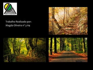 Trabalho Realizado por:
Magda Oliveira nº 3 A4
 