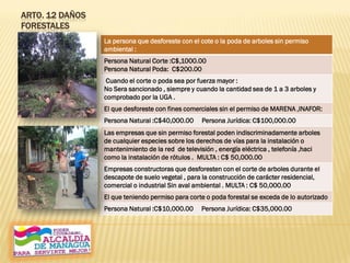ARTO. 12 DAÑOS
FORESTALES
La persona que desforeste con el cote o la poda de arboles sin permiso
ambiental :
Persona Natural Corte :C$,1000.00
Persona Natural Poda: C$200.00
Cuando el corte o poda sea por fuerza mayor :
No Sera sancionado , siempre y cuando la cantidad sea de 1 a 3 arboles y
comprobado por la UGA .
El que desforeste con fines comerciales sin el permiso de MARENA ,INAFOR:
Persona Natural :C$40,000.00 Persona Jurídica: C$100,000.00
Las empresas que sin permiso forestal poden indiscriminadamente arboles
de cualquier especies sobre los derechos de vías para la instalación o
mantenimiento de la red de televisión , energía eléctrica , telefonía ,haci
como la instalación de rótulos . MULTA : C$ 50,000.00
Empresas constructoras que desforesten con el corte de arboles durante el
descapote de suelo vegetal , para la construcción de carácter residencial,
comercial o industrial Sin aval ambiental . MULTA : C$ 50,000.00
El que teniendo permiso para corte o poda forestal se exceda de lo autorizado
Persona Natural :C$10,000.00 Persona Jurídica: C$35,000.00
 