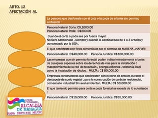ARTO. 13
AFECTACIÓN AL
La persona que desforeste con el cote o la poda de arboles sin permiso
ambiental :
Persona Natural Corte :C$,1000.00
Persona Natural Poda: C$200.00
Cuando el corte o poda sea por fuerza mayor :
No Sera sancionado , siempre y cuando la cantidad sea de 1 a 3 arboles y
comprobado por la UGA .
El que desforeste con fines comerciales sin el permiso de MARENA ,INAFOR:
Persona Natural :C$40,000.00 Persona Jurídica: C$100,000.00
Las empresas que sin permiso forestal poden indiscriminadamente arboles
de cualquier especies sobre los derechos de vías para la instalación o
mantenimiento de la red de televisión , energía eléctrica , telefonía ,haci
como la instalación de rótulos . MULTA : C$ 50,000.00
Empresas constructoras que desforesten con el corte de arboles durante el
descapote de suelo vegetal , para la construcción de carácter residencial,
comercial o industrial Sin aval ambiental . MULTA : C$ 50,000.00
El que teniendo permiso para corte o poda forestal se exceda de lo autorizado
:
Persona Natural :C$10,000.00 Persona Jurídica: C$35,000.00
 
