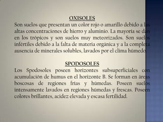OXISOLES
Son suelos que presentan un color rojo o amarillo debido a las
altas concentraciones de hierro y aluminio. La mayoría se dan
en los trópicos y son suelos muy meteorizados. Son suelos
infértiles debido a la falta de materia orgánica y a la completa
ausencia de minerales solubles, lavados por el clima húmedo.
SPODOSOLES
Los Spodosoles poseen horizontes subsuperficiales con
acumulación de humus en el horizonte B. Se forman en áreas
boscosas de regiones frías y húmedas. Poseen suelos
intensamente lavados en regiones húmedas y frescas. Poseen
colores brillantes, acidez elevada y escasa fertilidad.

 