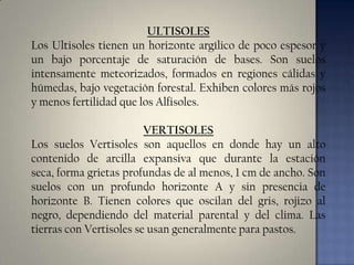 ULTISOLES
Los Ultisoles tienen un horizonte argílico de poco espesor y
un bajo porcentaje de saturación de bases. Son suelos
intensamente meteorizados, formados en regiones cálidas y
húmedas, bajo vegetación forestal. Exhiben colores más rojos
y menos fertilidad que los Alfisoles.
VERTISOLES
Los suelos Vertisoles son aquellos en donde hay un alto
contenido de arcilla expansiva que durante la estación
seca, forma grietas profundas de al menos, 1 cm de ancho. Son
suelos con un profundo horizonte A y sin presencia de
horizonte B. Tienen colores que oscilan del gris, rojizo al
negro, dependiendo del material parental y del clima. Las
tierras con Vertisoles se usan generalmente para pastos.

 