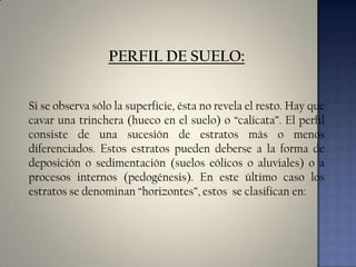 PERFIL DE SUELO:
Si se observa sólo la superficie, ésta no revela el resto. Hay que
cavar una trinchera (hueco en el suelo) o “calicata”. El perfil
consiste de una sucesión de estratos más o menos
diferenciados. Estos estratos pueden deberse a la forma de
deposición o sedimentación (suelos eólicos o aluviales) o a
procesos internos (pedogénesis). En este último caso los
estratos se denominan “horizontes”, estos se clasifican en:

 