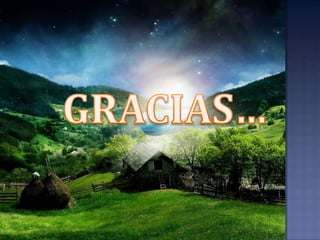 ORDENES Y PERFIL DEL SUELO