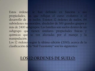 Estos órdenes se han definido en función a sus
propiedades, las que reflejan el curso evolutivo o el
desarrollo de los suelos. Existen 12 órdenes de suelos, 64
subórdenes reconocidos, alrededor de 300 grandes grupos y
más de 2400 subgrupos. Las familias son suelos dentro de un
subgrupo que tienen similares propiedades físicas y
químicas que se ven afectadas por el manejo y la
manipulación.
Los 12 órdenes según la última edición (2010), acerca de la
clasificación de la “Soil Taxonomy” son los siguientes:

LOS 12 ORDENES DE SUELO:

 