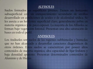 ALFISOLES
Suelos formados en superficies jóvenes. Tienen un horizonte
subsuperficial con un enriquecimiento secundario de arcillas
desarrollado en condiciones de acidez o de alcalinidad sódica. Se
les asocia a un horizonte superficial claro, generalmente pobre en
materia orgánica y de poco espesor. La mayoría de los Alfisoles se
forman bajo vegetación forestal. Presentan una alta saturación de
bases en todo el perfil.
ANDISOLES
Los Andisoles son suelos de las regiones subhúmedas y húmedas
que no han alcanzado a desarrollar caracteres diagnósticos de
otros órdenes. Estos suelos se caracterizan por poseer altos
contenidos de materia orgánica, alta capacidad de fijar fosfatos y
baja densidad aparente. Presentan determinados contenidos de
Aluminio y de Hierro.

 
