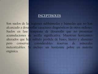 INCEPTISOLES
Son suelos de las regiones subhúmedas y húmedas que no han
alcanzado a desarrollar caracteres diagnósticos de otros órdenes.
Suelos en fase temprana de desarrollo que no presentan
acumulaciones de arcilla significativa. Muestran horizontes
alterados que han sufrido pérdida de bases, hierro y aluminio
pero conservan considerables reservas de minerales
meteorizables. Se incluye un horizonte pobre en materia
orgánica.

 