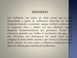 MOLLISOLES
Los Mollisoles son suelos de color oscuro que se han
desarrollado a partir de sedimentos minerales en climas
templado-húmedo a semiárido, aunque también se presentan
en regímenes fríos y cálidos con una cobertura vegetal
integrada fundamentalmente por gramíneas. Tienen una
estructura granular que facilita el movimiento del agua y el
aire. Presentan una dominancia del catión calcio en el
complejo de intercambio catiónico, que favorece la fluctuación
de los coloides. En estos suelos se obtienen rendimientos muy
altos sin utilizar gran cantidad de fertilizantes.

 