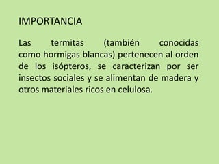 Las termitas (también conocidas
como hormigas blancas) pertenecen al orden
de los isópteros, se caracterizan por ser
insectos sociales y se alimentan de madera y
otros materiales ricos en celulosa.
IMPORTANCIA
 