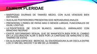 FAMILIA PLERIDAE
• MARIPOSAS DIURNAS DE TAMAÑO MEDIO, CON ALAS VENOSAS BIEN
DEFINIDAS.
• SUS ALAS POSTERIORES PRESENTAN DOS NERVADURAS ANALES
• PRESENTAN 3 PARES DE PATAS MAS O MENOS LARGAS, FUNCIONALES DE
IGUAL LOGITUD.
• LE´PIDOPTEROS DE COLOR BLANCO, AMARILLO, ANRANJADO CON
MANCHAS NEGRAS
• EXISTE DEFORMISMO SEXUAL QUE SE MANIFIESTA BIEN POR EL CAMBIO
EN LA COLORACION ALAR O BIEN POR LA CANTIDAD DE MANCHAS O DEL
TAMAÑO DE ESTAS
• EN ALGUNAS ESPECIES IBERICAS, SU ENVERGADURA ALAR OSCILA ENTRE
LOS 31 MM DEL MACHO Y 64 MM DE LA HEMBRA
 