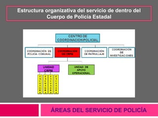ÁREAS DEL SERVICIO DE POLICÍA
Estructura organizativa del servicio de dentro del
Cuerpo de Policía Estadal
 