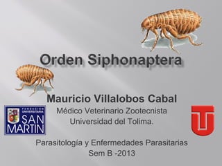 Mauricio Villalobos Cabal
Médico Veterinario Zootecnista
Universidad del Tolima.
Parasitología y Enfermedades Parasitarias
Sem B -2013
 