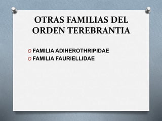 OTRAS FAMILIAS DEL
ORDEN TEREBRANTIA
O FAMILIA ADIHEROTHRIPIDAE
O FAMILIA FAURIELLIDAE
 