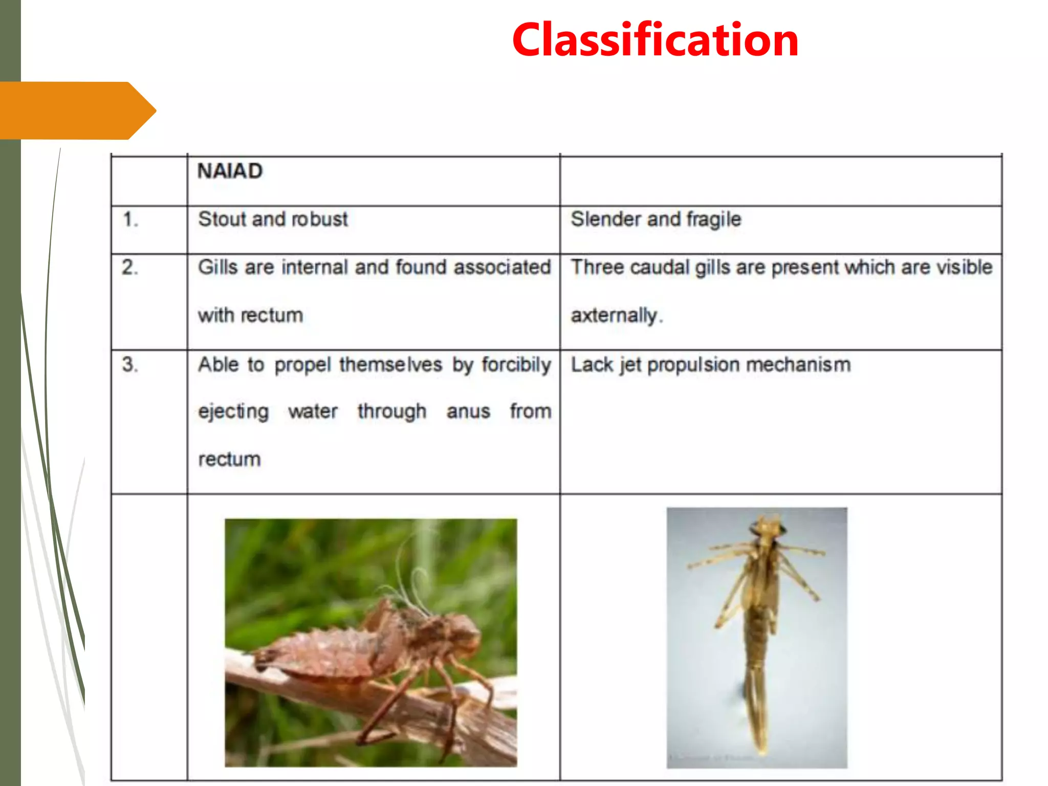 Classification
 