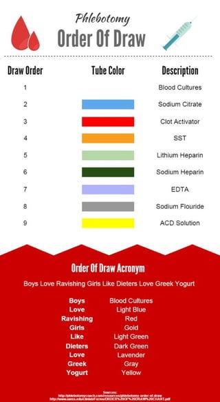 Phlebotomy Order of Draw