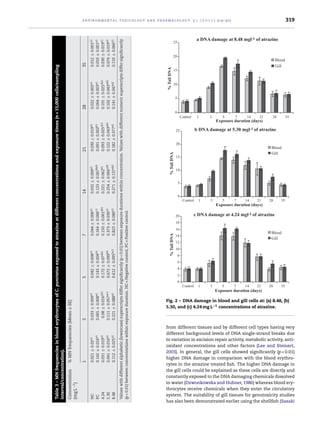 environmental toxicology and pharmacology 3 1 ( 2 0 1 1 ) 314–322 319
Table3–MNfrequenciesinblooderythrocytesofC.punctatusexposedtoatrazineatdifferentconcentrationsandexposuretimes(n=15,000cells/sampling
interval/concentration).
Concentration
(mgL−1)
%MNfrequencies(Mean±SE)
135714212835
NC0.021±0.02a1
0.033±0.009a1
0.042±0.008a1
0.044±0.006a1
0.032±0.009a1
0.030±0.019a1
0.022±0.002a1
0.012±0.001a1
PC0.142±0.016a1
0.065±0.008a1
0.143±0.004b1
0.164±0.006c1
0.133±0.007bd1
0.091±0.002b1
0.064±0.003a1
0.033±0.001a1
4.240.031±0.019a1
0.08±0.016ab1
0.172±0.07ab2
0.150±0.061ab1
0.221±0.062b1
0.093±0.025ab1
0.101±0.025ab1
0.030±0.019a1
5.300.041±0.016a1
0.111±0.057ac1
0.672±0.099b3
0.373±0.030c2
0.254±0.066cd2
0.122±0.043ad1
0.102±0.043ad1
0.074±0.019a1
8.480.112±0.025a1
0.221±0.088a2
0.612±0.095bc3
0.823±0.080c3
0.271±0.137ab2
0.182±0.077a2
0.141±0.047a2
0.133±0.066a1
Valueswithdifferentalphabetic(lowercase)superscriptsdiffersigniﬁcantly(p<0.01)betweenexposuredurationswithinconcentration.Valueswithdifferentnumericsuperscriptsdiffersigniﬁcantly
(p<0.01)betweenconcentrationswithinexposureduration.NC=Negativecontrol,PC=Positivecontrol.
a DNA damage at 8.48 mgl-1 of atrazine
0
5
10
15
20
25
Control 1 3 5 7 14 21 28 35
Exposure duration (days)
Blood
Gill
%TailDNA
b DNA damage at 5.30 mgl-1 of atrazine
0
5
10
15
20
25
Control 1 3 5 7 14 21 28 35
Exposure duration (days)
Blood
Gill
%TailDNA
c DNA damage at 4.24 mgl-1 of atrazine
0
2
4
6
8
10
12
14
16
18
20
Control 1 3 5 7 14 21 28 35
Exposure duration (days)
Blood
Gill
%TailDNA
Fig. 2 – DNA damage in blood and gill cells at: (a) 8.48, (b)
5.30, and (c) 4.24 mg L−1 concentrations of atrazine.
from different tissues and by different cell types having very
different background levels of DNA single-strand breaks due
to variation in excision repair activity, metabolic activity, anti-
oxidant concentrations and other factors (Lee and Steinert,
2003). In general, the gill cells showed signiﬁcantly (p < 0.01)
higher DNA damage in comparison with the blood erythro-
cytes in the atrazine treated ﬁsh. The higher DNA damage in
the gill cells could be explained as these cells are directly and
constantly exposed to the DNA damaging chemicals dissolved
in water (Dzwonkowska and Hubner, 1986) whereas blood ery-
throcytes receive chemicals when they enter the circulatory
system. The suitability of gill tissues for genotoxicity studies
has also been demonstrated earlier using the shellﬁsh (Sasaki
 