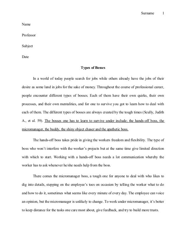 examples of classification essays