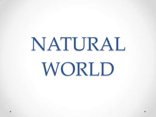 NATURAL
WORLD

 
