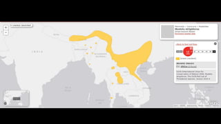 Order- carnivora, carnivores animals 