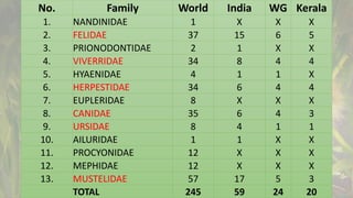 No. Family World India WG Kerala
1. NANDINIDAE 1 X X X
2. FELIDAE 37 15 6 5
3. PRIONODONTIDAE 2 1 X X
4. VIVERRIDAE 34 8 4 4
5. HYAENIDAE 4 1 1 X
6. HERPESTIDAE 34 6 4 4
7. EUPLERIDAE 8 X X X
8. CANIDAE 35 6 4 3
9. URSIDAE 8 4 1 1
10. AILURIDAE 1 1 X X
11. PROCYONIDAE 12 X X X
12. MEPHIDAE 12 X X X
13. MUSTELIDAE 57 17 5 3
TOTAL 245 59 24 20
 