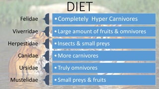 DIET
Felidae •Completely Hyper Carnivores
Viverridae •Large amount of fruits & omnivores
Herpestidae •Insects & small preys
Canidae •More carnivores
Ursidae •Truly omnivores
Mustelidae •Small preys & fruits
 