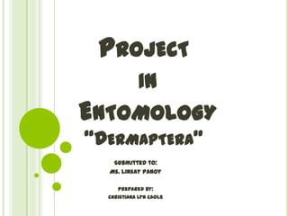 PROJECT
IN

ENTOMOLOGY
“DERMAPTERA”
Submitted to:
Ms. Linsay Panoy
Prepared by:
Christiana Lyn Caole

 