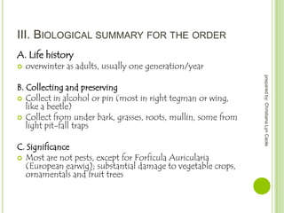 III. BIOLOGICAL SUMMARY FOR THE ORDER
A. Life history


overwinter as adults, usually one generation/year

C. Significance
 Most are not pests, except for Forficula Auricularia
(European earwig); substantial damage to vegetable crops,
ornamentals and fruit trees

prepared by: Christiana Lyn Caole

B. Collecting and preserving
 Collect in alcohol or pin (most in right tegman or wing,
like a beetle)
 Collect from under bark, grasses, roots, mullin, some from
light pit-fall traps

 