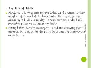 prepared by: Christiana Lyn Caole

D. Habitat and Habits
 Nocturnal . Earwigs are sensitive to heat and dryness, so they
usually hide in cool, dark places during the day and come
out at night.Hide during day - cracks, crevices, under bark,
protected places (e.g., under my deck)
 Eating habits: Mostly Scavengers - dead and decaying plant
material, but also on tender plants but some are omnivorous
or predatory

 