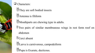Hemiptera & Neuroptera: Insect Diversity.pptx