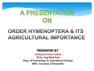 PRESENTED BY:
Sandeep Kumar Sathua
M.Sc. (Ag) final Year
Dept. of Entomology & Agricultural Zoology
BHU, Varanasi, Uttarprades
 
