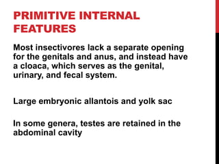 PRIMITIVE INTERNAL
FEATURES
Most insectivores lack a separate opening
for the genitals and anus, and instead have
a cloaca, which serves as the genital,
urinary, and fecal system.


Large embryonic allantois and yolk sac

In some genera, testes are retained in the
abdominal cavity
 