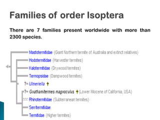 There are 7 families present worldwide with more than
2300 species.

 