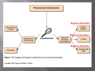 yRigid or Flexible?Rigid or Flexible?Rigid or Flexible?